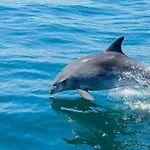 Luxury Penthouse Private Jacuzzi, * Albufeira