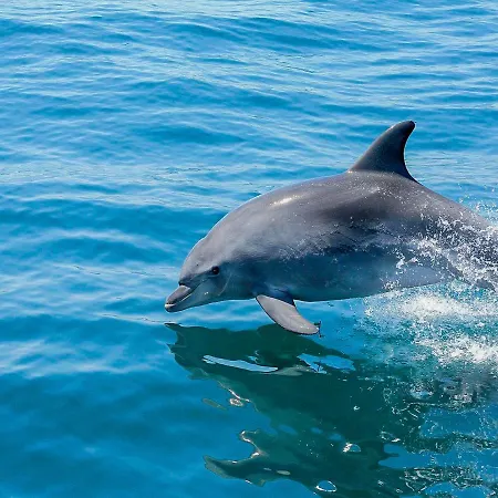 Luxury Penthouse Private Jacuzzi, * 阿尔布费拉